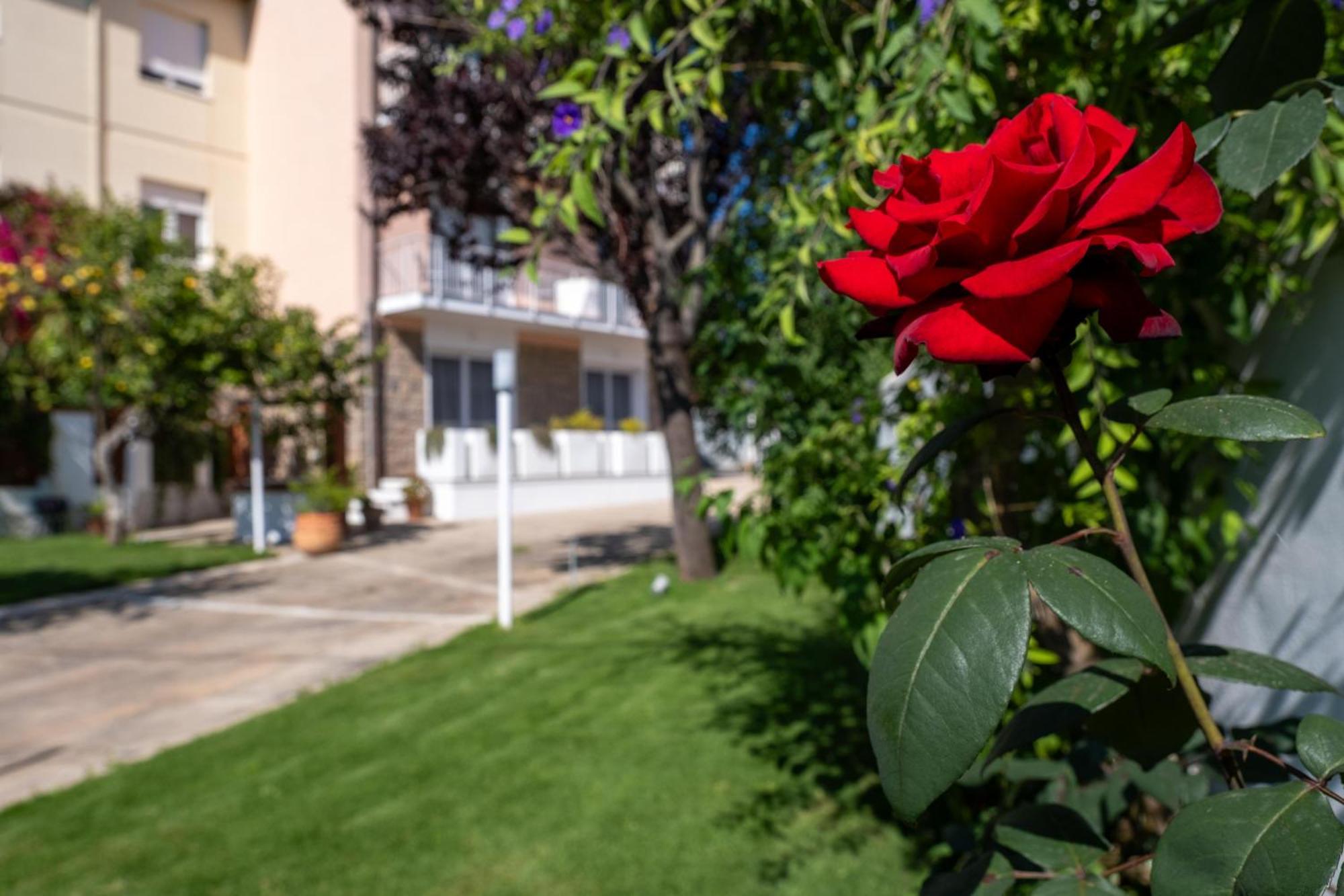 Nautika Suites 알게로 외부 사진